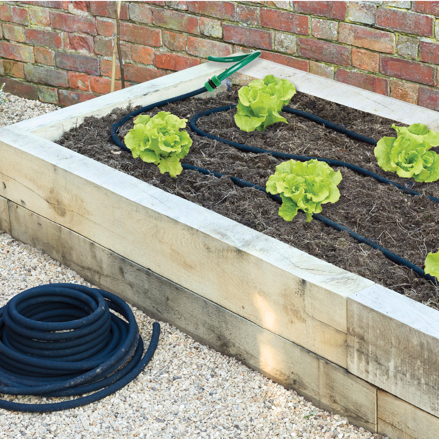 Image of a garden being watered.
